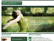 Tablet Screenshot of incosgroup.it
